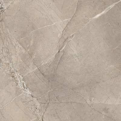  Imola Ceramica The Rock Greige 90x90x2 cm Terrastegel Esterni Mat Vlak Natural FIBOSC 90 AS RM | 399639