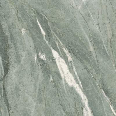  Imola Ceramica The Room Tiffany Green 60x60 cm Vloertegel / Wandtegel Dikte: 6,5 mm Mat Vlak Naturale TIF GR6 60 RM | 400086