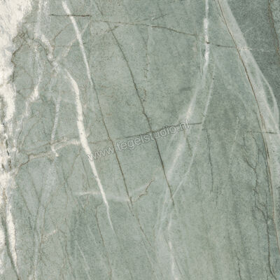  Imola Ceramica The Room Tiffany Green 60x60 cm Vloertegel / Wandtegel Dikte: 6,5 mm Mat Vlak Naturale TIF GR6 60 RM | 400095