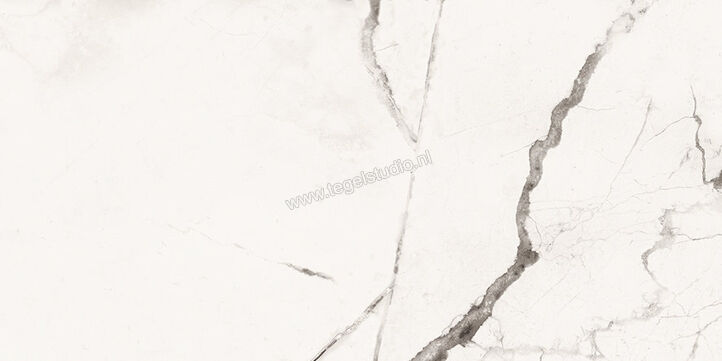  Imola Ceramica The Room Statuario Vena Piccola 30x60 cm Vloertegel / Wandtegel Dikte: 6,5 mm Mat Vlak Naturale STA VP6 36 RM | 400146