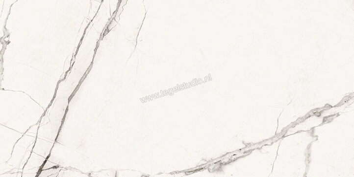  Imola Ceramica The Room Statuario Vena Piccola 30x60 cm Vloertegel / Wandtegel Dikte: 6,5 mm Mat Vlak Naturale STA VP6 36 RM | 400152