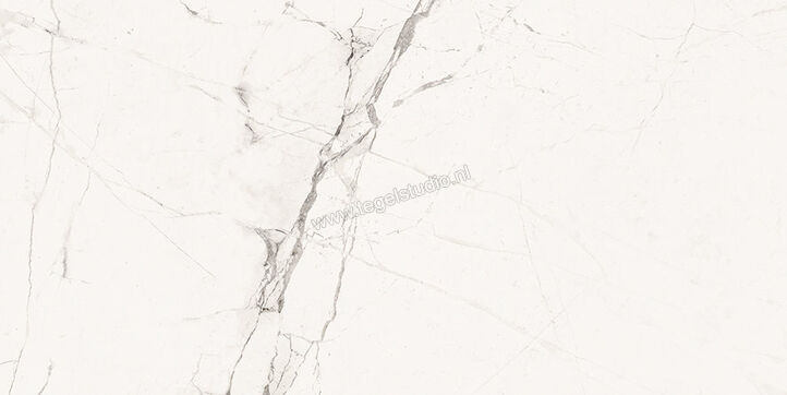 Imola Ceramica The Room Statuario Vena Piccola 30x60 cm Vloertegel / Wandtegel Dikte: 6,5 mm Mat Vlak Naturale STA VP6 36 RM | 400158