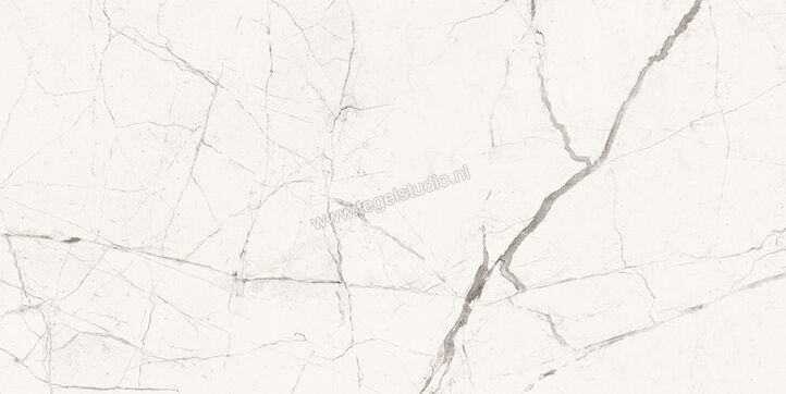  Imola Ceramica The Room Statuario Vena Piccola 30x60 cm Vloertegel / Wandtegel Dikte: 6,5 mm Mat Vlak Naturale STA VP6 36 RM | 400161