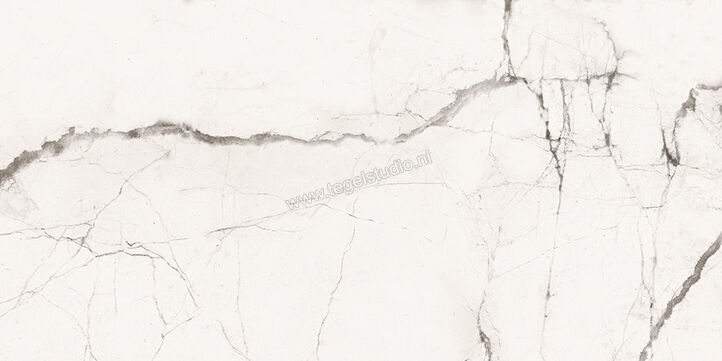  Imola Ceramica The Room Statuario Vena Piccola 30x60 cm Vloertegel / Wandtegel Dikte: 6,5 mm Mat Vlak Naturale STA VP6 36 RM | 400167