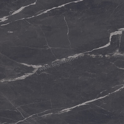  Imola Ceramica The Room Montecarlo Black 120x120 cm Vloertegel / Wandtegel Dikte: 6,5 mm Mat Vlak Naturale MON BL6 120 RM | 400359
