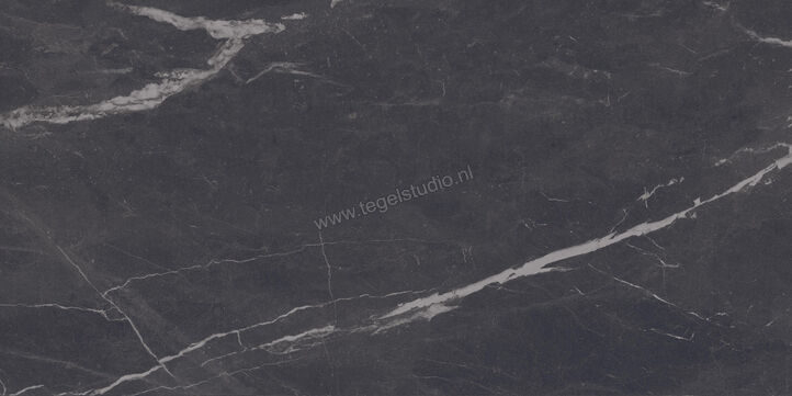  Imola Ceramica The Room Montecarlo Black 60x120 cm Vloertegel / Wandtegel Dikte: 6,5 mm Mat Vlak Naturale MON BL6 12 RM | 400437