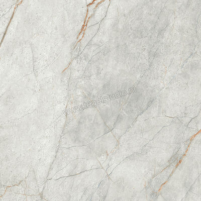  Imola Ceramica The Room Grey Roots 60x60 cm Vloertegel / Wandtegel Dikte: 6,5 mm Mat Vlak Naturale GRE RO6 60 RM | 400872
