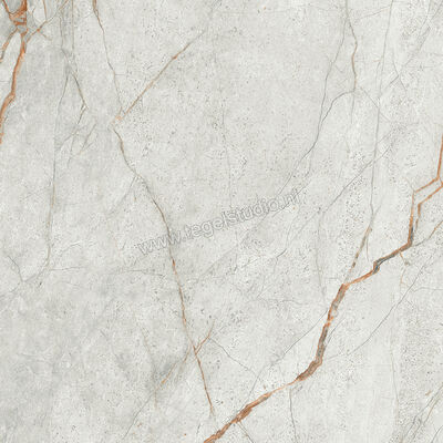  Imola Ceramica The Room Grey Roots 60x60 cm Vloertegel / Wandtegel Dikte: 6,5 mm Mat Vlak Naturale GRE RO6 60 RM | 400875