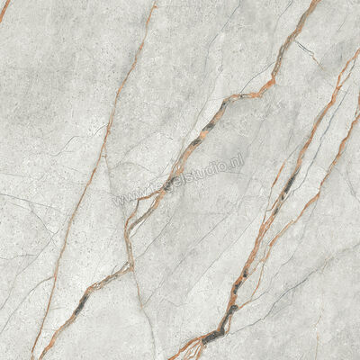  Imola Ceramica The Room Grey Roots 60x60 cm Vloertegel / Wandtegel Dikte: 6,5 mm Mat Vlak Naturale GRE RO6 60 RM | 400878