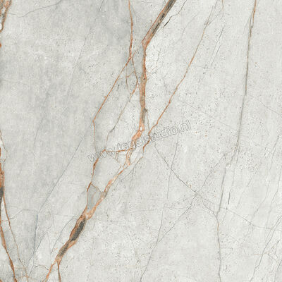  Imola Ceramica The Room Grey Roots 60x60 cm Vloertegel / Wandtegel Dikte: 6,5 mm Mat Vlak Naturale GRE RO6 60 RM | 400881