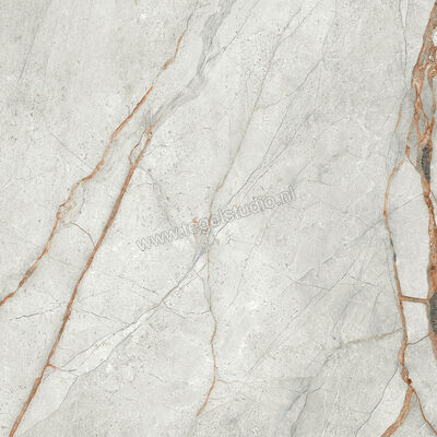  Imola Ceramica The Room Grey Roots 60x60 cm Vloertegel / Wandtegel Dikte: 6,5 mm Mat Vlak Naturale GRE RO6 60 RM | 400884