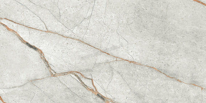  Imola Ceramica The Room Grey Roots 30x60 cm Vloertegel / Wandtegel Dikte: 6,5 mm Mat Vlak Naturale GRE RO6 36 RM | 400887