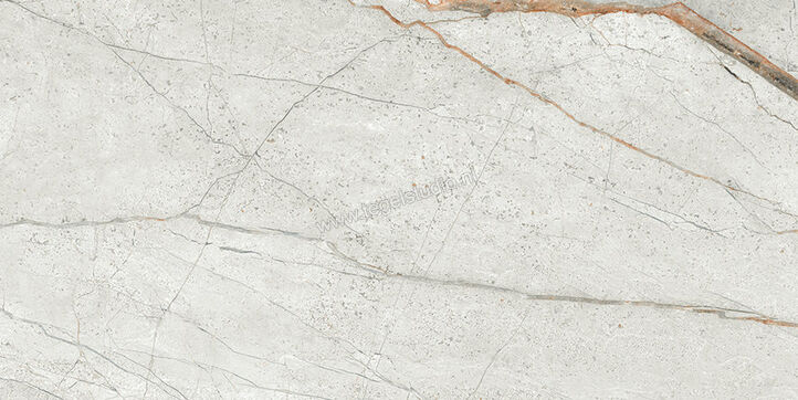  Imola Ceramica The Room Grey Roots 30x60 cm Vloertegel / Wandtegel Dikte: 6,5 mm Mat Vlak Naturale GRE RO6 36 RM | 400890