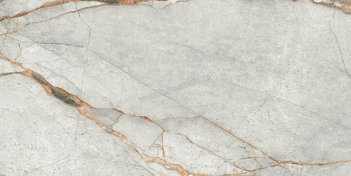  Imola Ceramica The Room Grey Roots 30x60 cm Vloertegel / Wandtegel Dikte: 6,5 mm Mat Vlak Naturale GRE RO6 36 RM | 400893