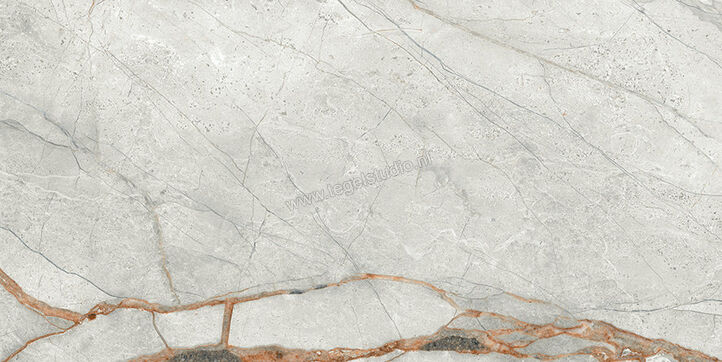  Imola Ceramica The Room Grey Roots 30x60 cm Vloertegel / Wandtegel Dikte: 6,5 mm Mat Vlak Naturale GRE RO6 36 RM | 400896