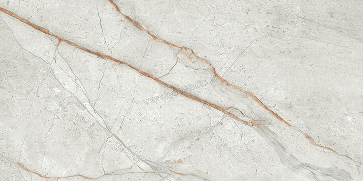  Imola Ceramica The Room Grey Roots 30x60 cm Vloertegel / Wandtegel Dikte: 6,5 mm Mat Vlak Naturale GRE RO6 36 RM | 400899