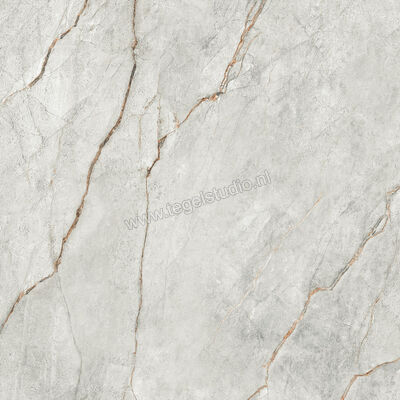  Imola Ceramica The Room grey roots GRE RO 120x120 cm Vloertegel / Wandtegel Glanzend Vlak Lappato GRE RO6 120 LP | 400944