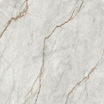  Imola Ceramica The Room grey roots GRE RO 120x120 cm Vloertegel / Wandtegel Glanzend Vlak Lappato GRE RO6 120 LP | 400947
