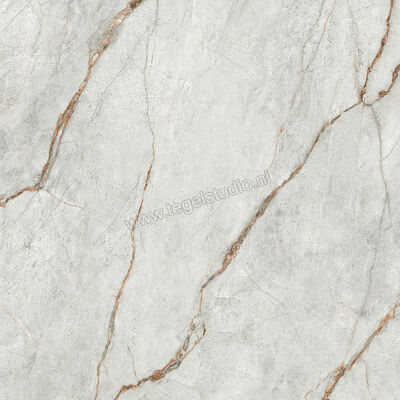  Imola Ceramica The Room grey roots GRE RO 120x120 cm Vloertegel / Wandtegel Glanzend Vlak Lappato GRE RO6 120 LP | 400950