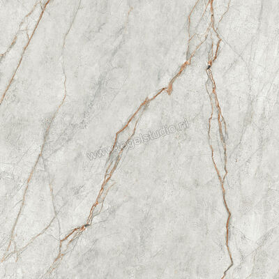  Imola Ceramica The Room grey roots GRE RO 120x120 cm Vloertegel / Wandtegel Glanzend Vlak Lappato GRE RO6 120 LP | 400953