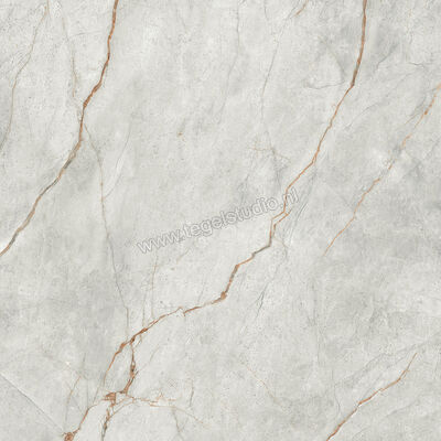  Imola Ceramica The Room grey roots GRE RO 120x120 cm Vloertegel / Wandtegel Glanzend Vlak Lappato GRE RO6 120 LP | 400959