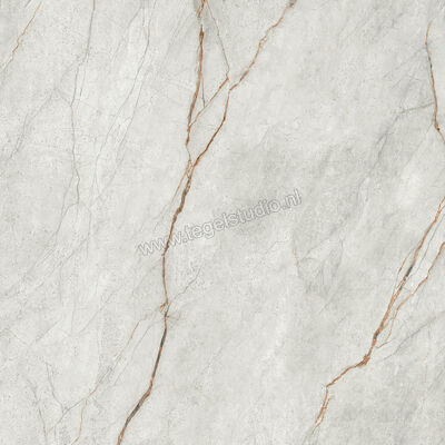  Imola Ceramica The Room grey roots GRE RO 120x120 cm Vloertegel / Wandtegel Glanzend Vlak Lappato GRE RO6 120 LP | 400962
