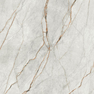  Imola Ceramica The Room grey roots GRE RO 120x120 cm Vloertegel / Wandtegel Glanzend Vlak Lappato GRE RO6 120 LP | 400965