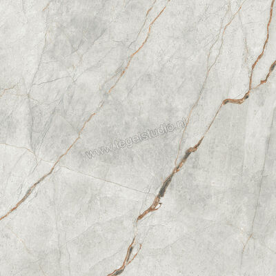  Imola Ceramica The Room grey roots GRE RO 120x120 cm Vloertegel / Wandtegel Glanzend Vlak Lappato GRE RO6 120 LP | 400968