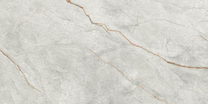  Imola Ceramica The Room Grey Roots 60x120 cm Vloertegel / Wandtegel Dikte: 6,5 mm Glanzend Vlak Lappato GRE RO6 12 LP | 401001
