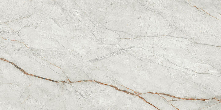  Imola Ceramica The Room Grey Roots 60x120 cm Vloertegel / Wandtegel Dikte: 6,5 mm Glanzend Vlak Lappato GRE RO6 12 LP | 401004
