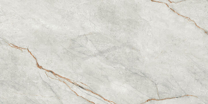  Imola Ceramica The Room Grey Roots 60x120 cm Vloertegel / Wandtegel Dikte: 6,5 mm Glanzend Vlak Lappato GRE RO6 12 LP | 401010