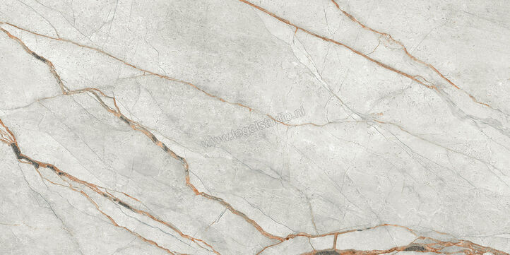  Imola Ceramica The Room Grey Roots 60x120 cm Vloertegel / Wandtegel Dikte: 6,5 mm Glanzend Vlak Lappato GRE RO6 12 LP | 401013