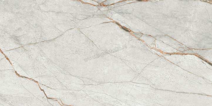  Imola Ceramica The Room Grey Roots 60x120 cm Vloertegel / Wandtegel Dikte: 6,5 mm Glanzend Vlak Lappato GRE RO6 12 LP | 401016