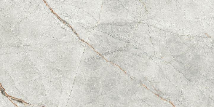 Imola Ceramica The Room grey roots GRE RO 60x120 cm Vloertegel / Wandtegel Glanzend Vlak Lappato GRE RO6 12 LP | 401019