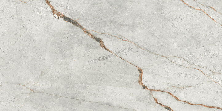  Imola Ceramica The Room Grey Roots 60x120 cm Vloertegel / Wandtegel Dikte: 6,5 mm Glanzend Vlak Lappato GRE RO6 12 LP | 401022