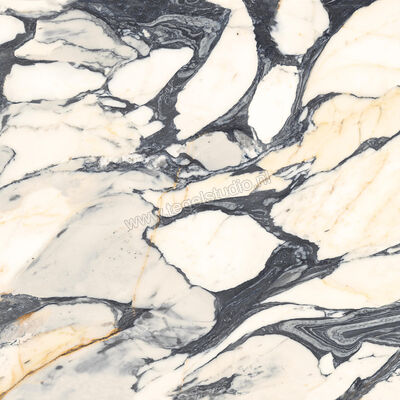  Imola Ceramica The Room Calacatta Picasso 120x120 cm Vloertegel / Wandtegel Dikte: 6,5 mm Glanzend Vlak Lappato CAL PI6 120 LP | 401190