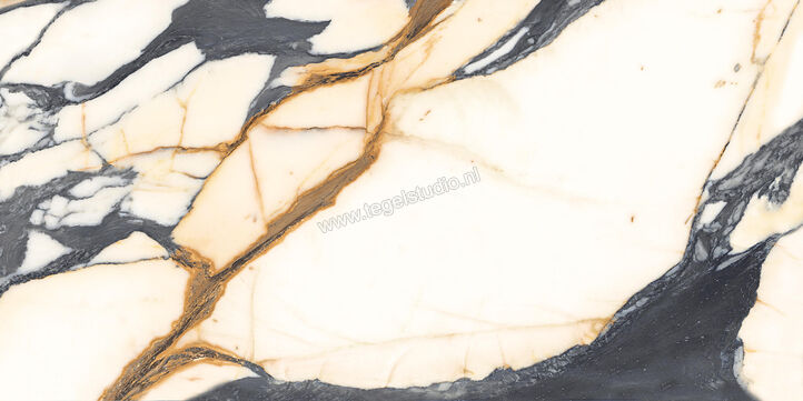  Imola Ceramica The Room Calacatta Picasso 60x120 cm Vloertegel / Wandtegel Dikte: 6,5 mm Mat Vlak Naturale CAL PI6 12 RM | 401214