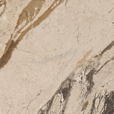  Imola Ceramica The Room Breccia Phoenix 60x60 cm Vloertegel / Wandtegel Dikte: 6,5 mm Mat Vlak Naturale BRE PH6 60 RM | 401334