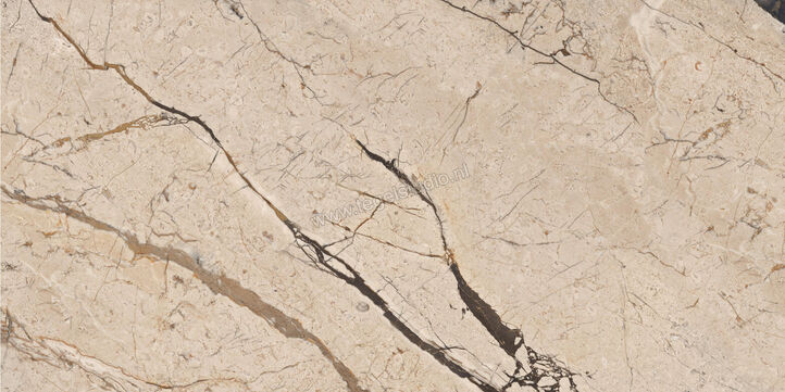  Imola Ceramica The Room Breccia Phoenix 60x120 cm Vloertegel / Wandtegel Dikte: 6,5 mm Glanzend Vlak Lappato BRE PH6 12 LP | 401646