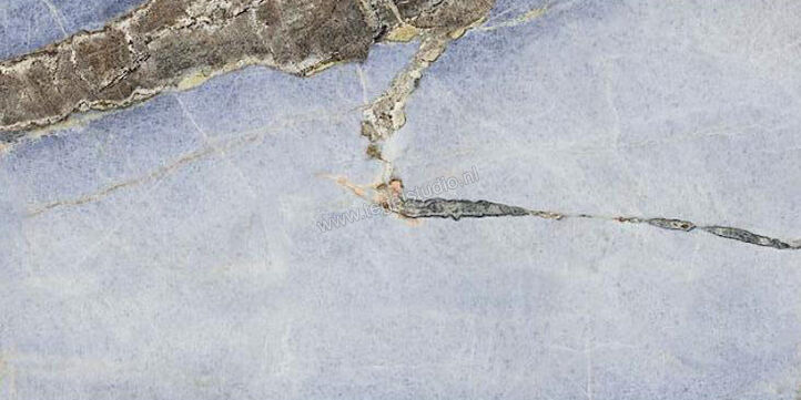  Imola Ceramica The Room Onice Aragosta 60x120 cm Vloertegel / Wandtegel Dikte: 6,5 mm Mat Vlak Naturale ONI AR6 12 RM | 401802