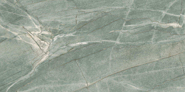  Imola Ceramica The Room Tiffany Green 60x120 cm Vloertegel / Wandtegel Dikte: 6,5 mm Mat Vlak Naturale TIF GR6 12 RM | 401904