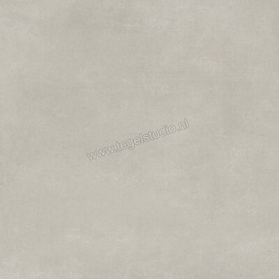  Ariostea Next Grey 60x60 cm Vloertegel / Wandtegel Mat Vlak Natural Plus P6633 | 402024
