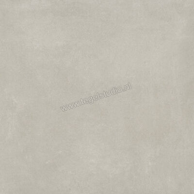  Ariostea Next Grey 60x60 cm Vloertegel / Wandtegel Mat Vlak Natural Plus P6633 | 402030