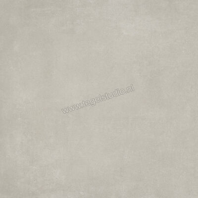  Ariostea Next Grey 60x60 cm Vloertegel / Wandtegel Mat Vlak Natural Plus P6633 | 402033