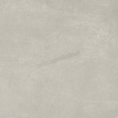  Ariostea Next Grey 60x60 cm Vloertegel / Wandtegel Mat Vlak Natural Plus P6633 | 402036