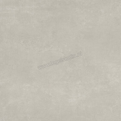  Ariostea Next Grey 60x60 cm Vloertegel / Wandtegel Mat Vlak Natural Plus P6633 | 402039