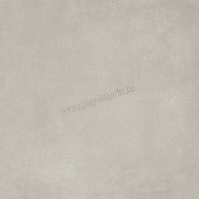  Ariostea Next Grey 60x60 cm Vloertegel / Wandtegel Mat Vlak Natural Plus P6633 | 402042