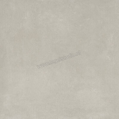  Ariostea Next Grey 60x60 cm Vloertegel / Wandtegel Mat Vlak Natural Plus P6633 | 402045