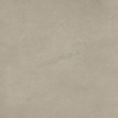  Ariostea Next Greige 60x60 cm Vloertegel / Wandtegel Mat Vlak Natural Plus P6632 | 402051
