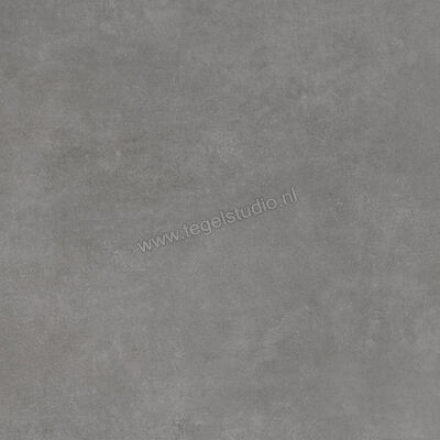  Ariostea Next Dark 60x60 cm Vloertegel / Wandtegel Mat Vlak Natural Plus P6631 | 402081
